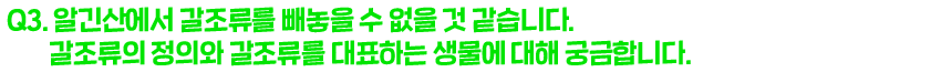 3. 톳의 효능, 피부 노화 예방