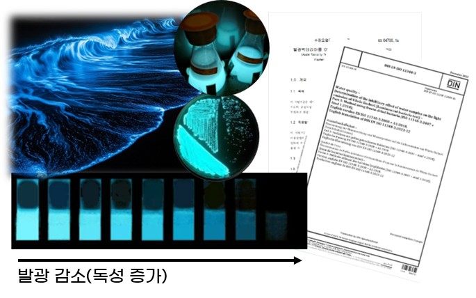 발광 감소(독성 증가)를 보여주는 발광박테리아 생태독성 시험 개념도