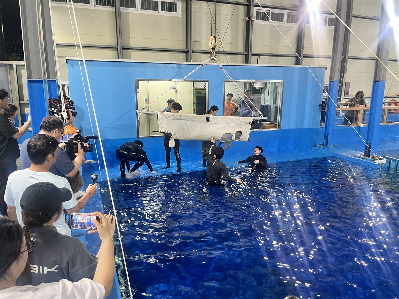 울산 고래생태체험관 치료 수조에 도착한 안목이
