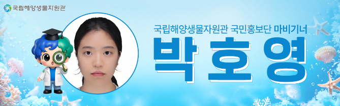 국립해양생물자원관 국민홍보단 마비기너 박호영