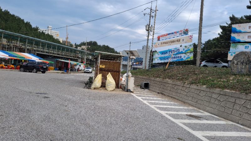 수거한 쓰레기를 정리·분류하는 팀원들