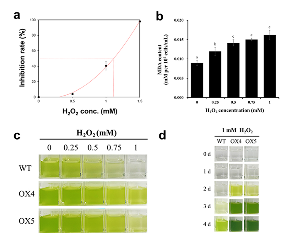 2410-focus-bio-2_01